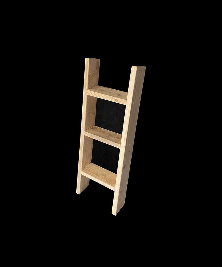 Rustic Ladder Shelf